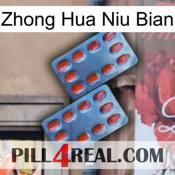 Zhong Hua Niu Bian 05